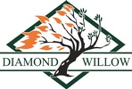 Diamond Willow Mechanical