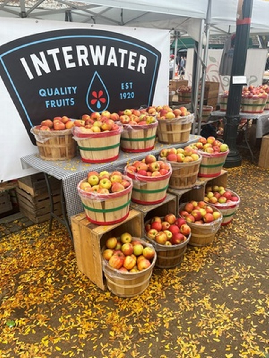 47th ANNUAL APPLE FEST - Oct 9, 2026 to Oct 11, 2026