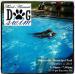 Third Annual Dog Swim