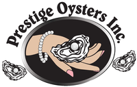 Prestige Oysters & Pier 6