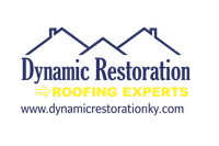 Dynamic Restoration LLC