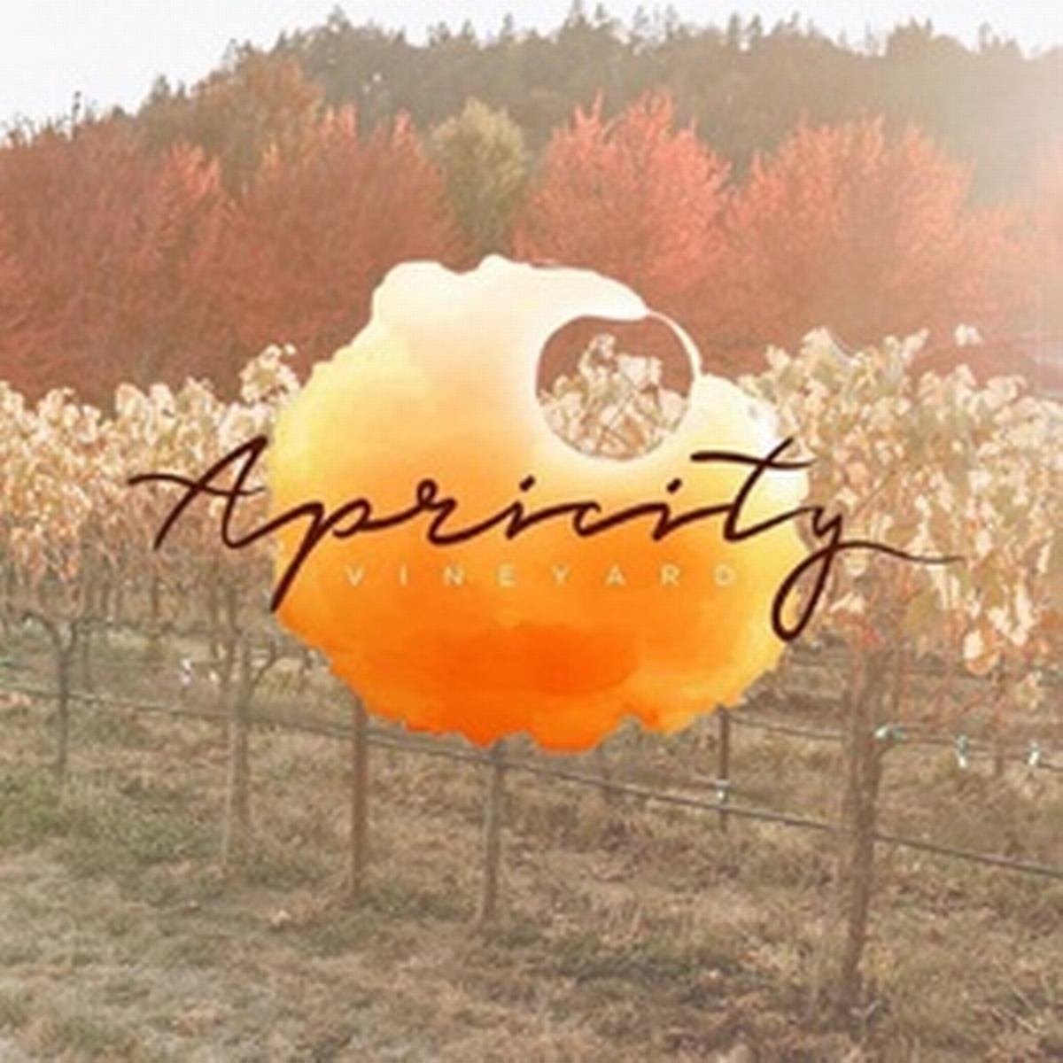 Music | Apricity