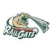 Railcats Baseball Game