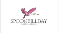 Spoonbill Bay Mustang Island