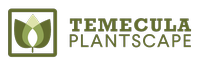 Temecula Plantscape
