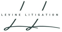 Levine Litigation LLC