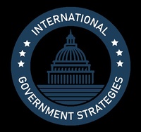 International Government Strategies