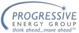 Progressive Energy Group, LLC/ DVS Division