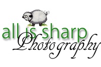 All Is Sharp Photography