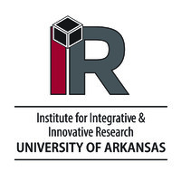 Institute for Integrative & Innovative Research