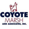 Coyote Marsh