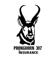 Pronghorn 307 Insurance