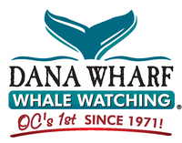 Dana Wharf Sportfishing & Whale Watching
