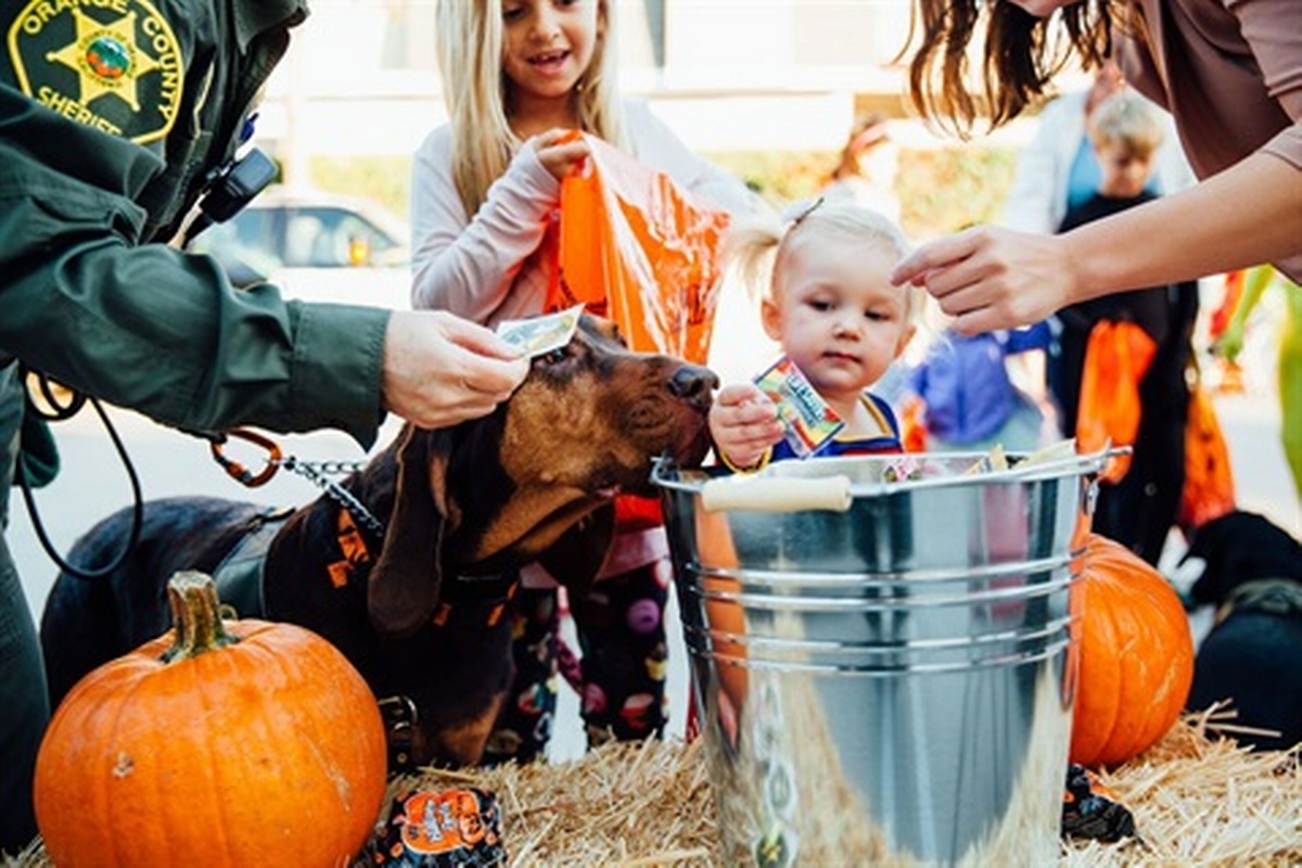 Halloween Spooktacular & Truck or Treat at Dana Point Community Center
