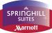 BUSINESS AFTER HOURS @ Springhill Suites 
