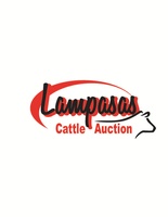 Lampasas Cattle Auction