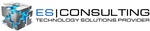 E S Consulting Inc