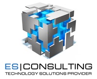 ES Consulting Inc