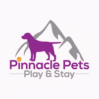 Pinnacle Pets Play & Stay