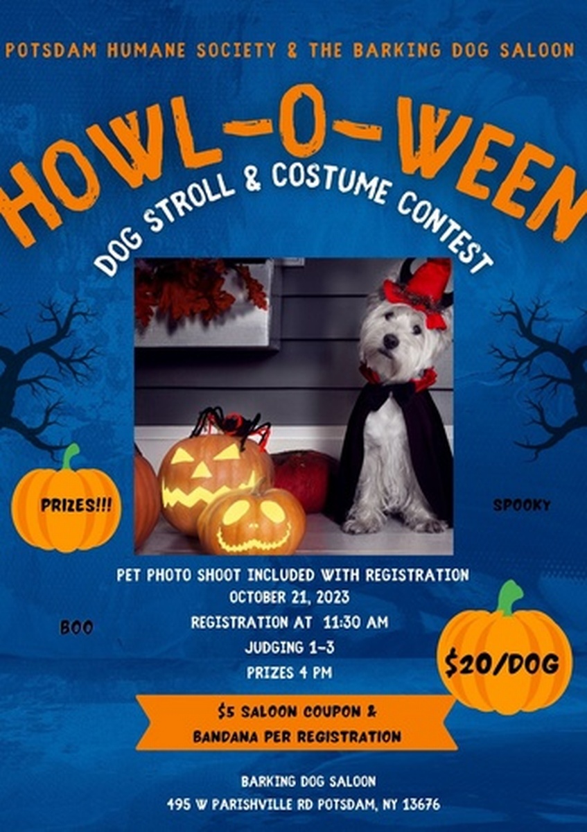 Howl-o-ween Pet Costume Contest Flyer Halloween Dog Pet 