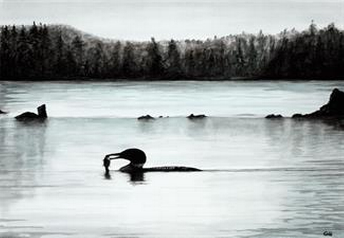 Trout Lake Arts on the Water Jul 20, 2024