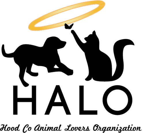 TODO