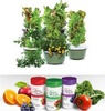 The Juice Plus Company & the Tower Garden