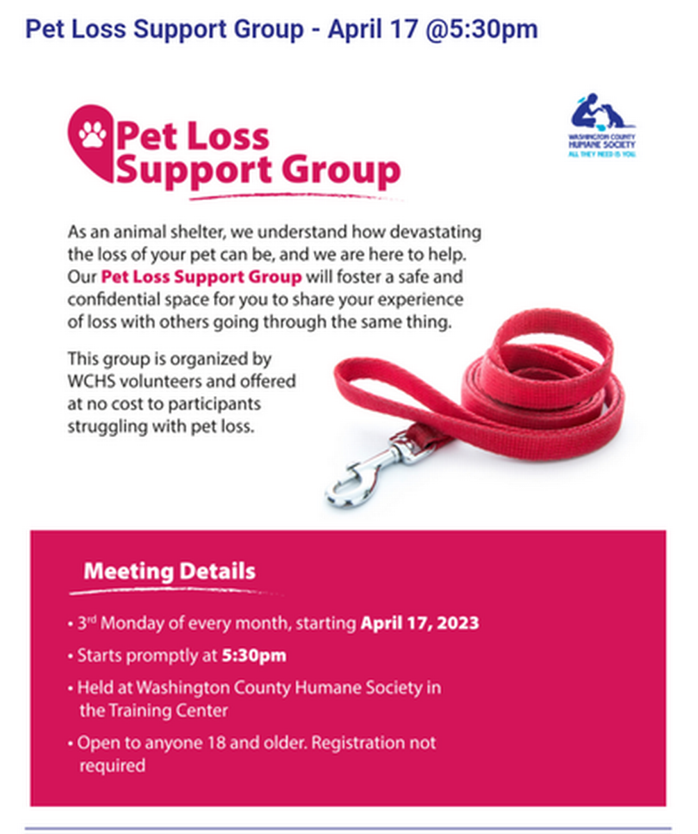 II. Benefits of Joining a Rescue Dog Support Group