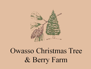 Owasso Christmas Tree & Berry Farm