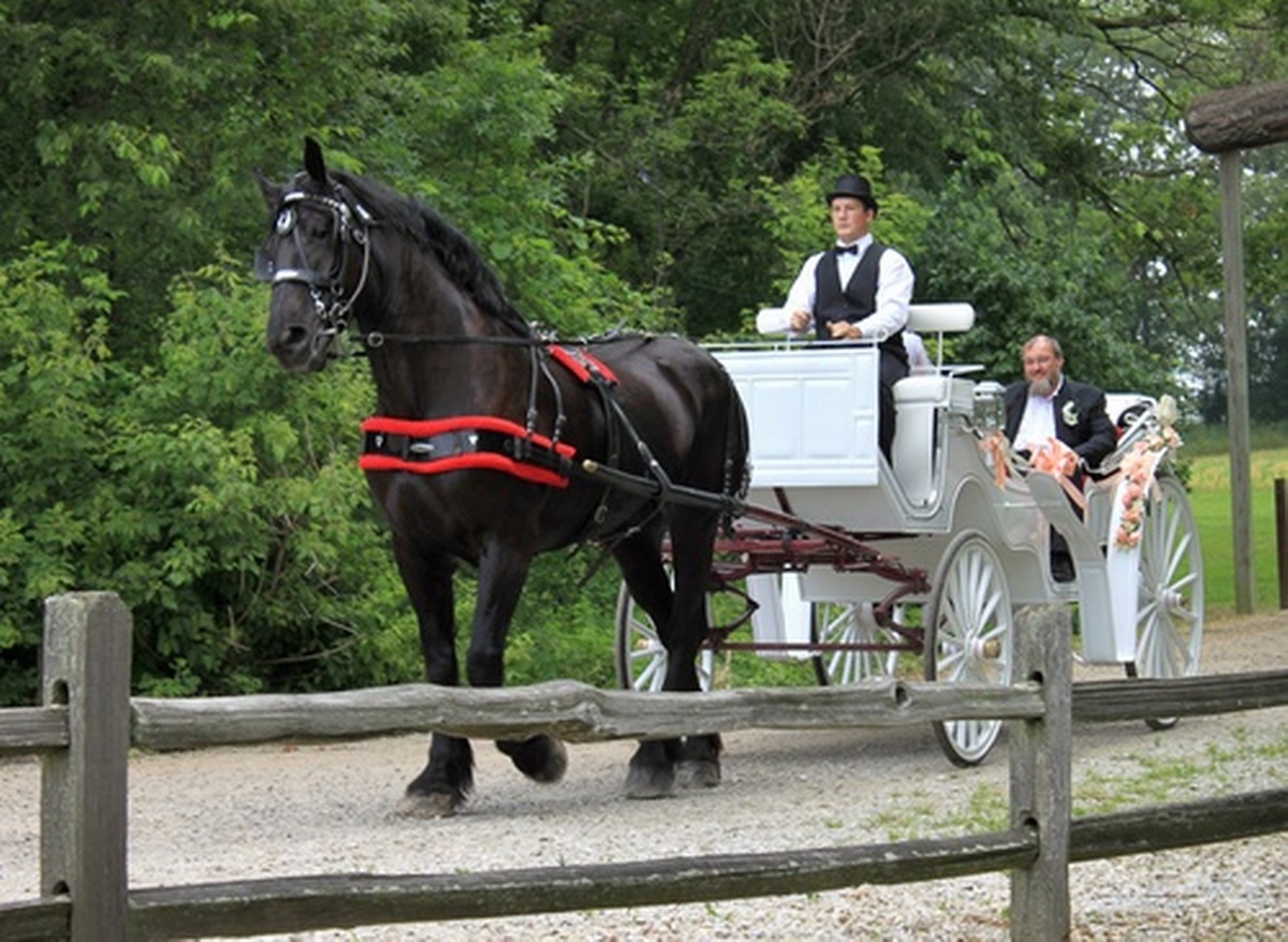 Christmas In Mocksville - Horse & Buggy Rides - Dec 10, 2021 - Chamber 