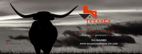 TexasEx Real Estate Team - Keller Williams Realty Lone Star