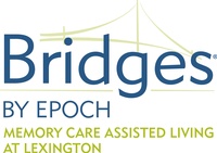 Bridges by Epoch 