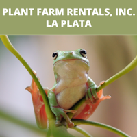Plant Farm Rentals, Inc.