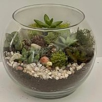 Tiny Gardens