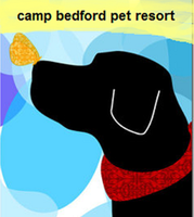 Camp Bedford Pet Resort