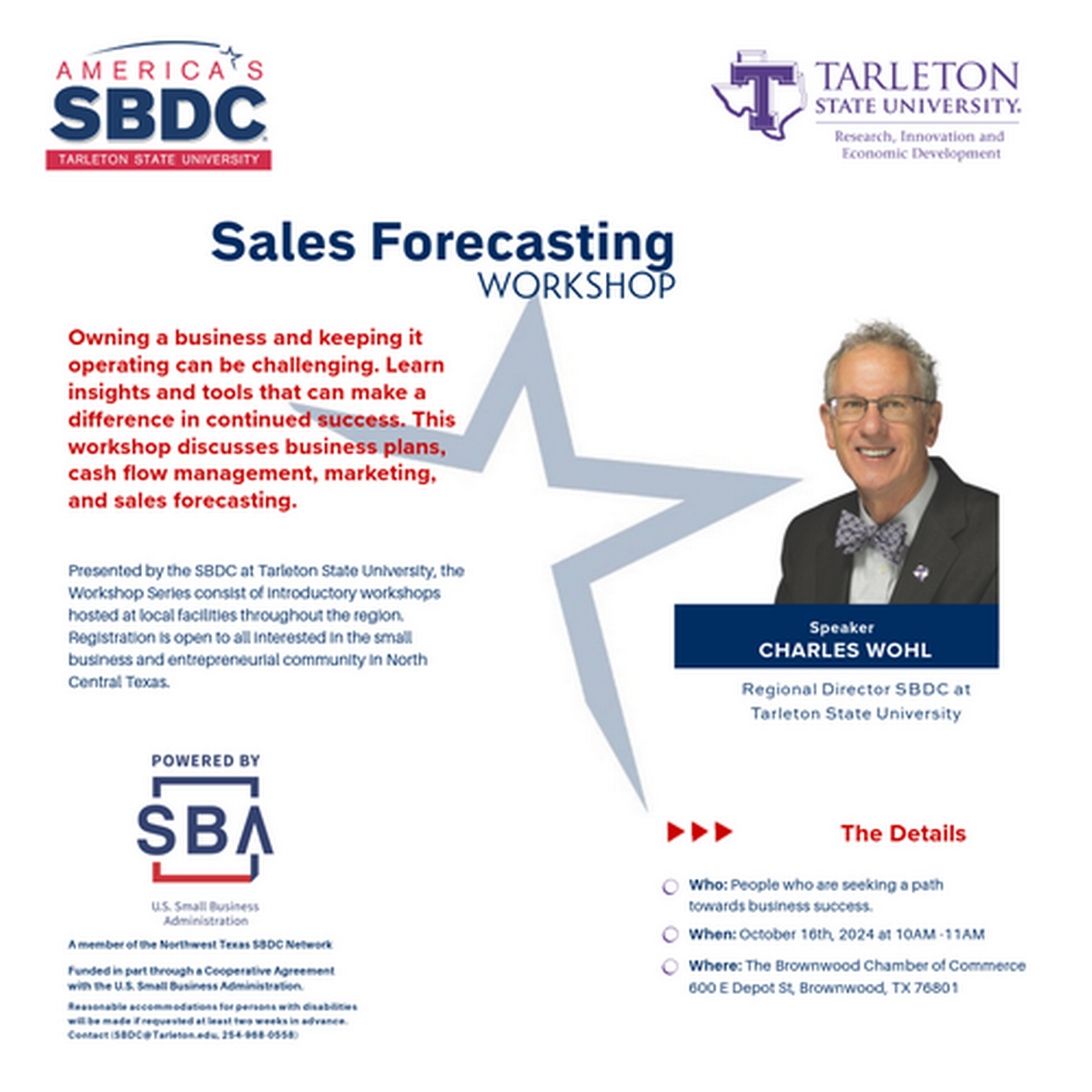Sales Forecasting in Partnership with Small Business
