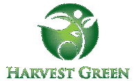Harvest Green