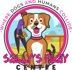 Sally's Play Centre & Social House