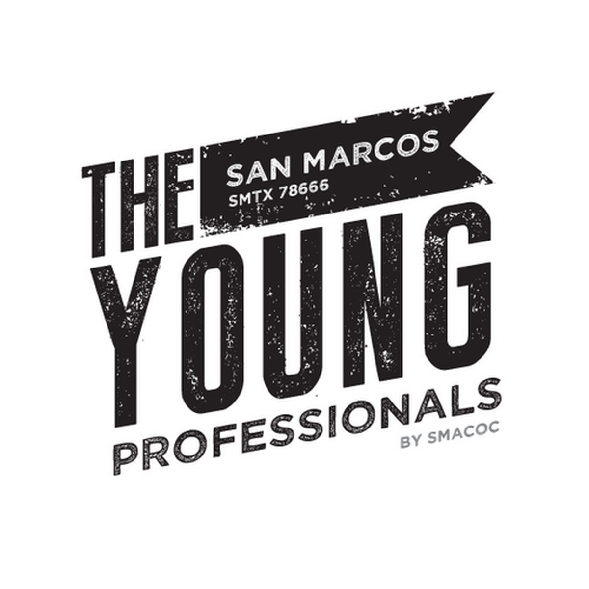SM Young Professionals Networking Mixer