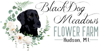 Black Dog Meadows Flower Farm, LLC