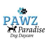 Pawz Paradise Dog Daycare