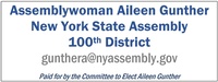 NYS Assembly-100th District