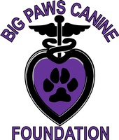 Big Paws Canine