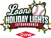 Great Lakes Loons