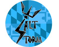Salt Storm llc