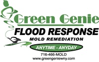 Green Genie Mold Remediation & Flood Restoration