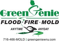 Green Genie Mold Remediation, Fire and Flood Restoration
