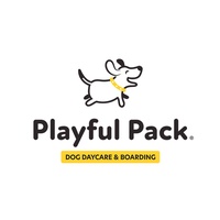 Playful Pack Lake Orion 