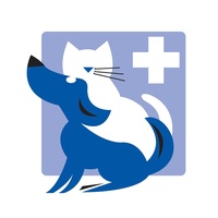 Dundee Animal Hospital of Algonquin