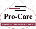 Pro-Care Inc.